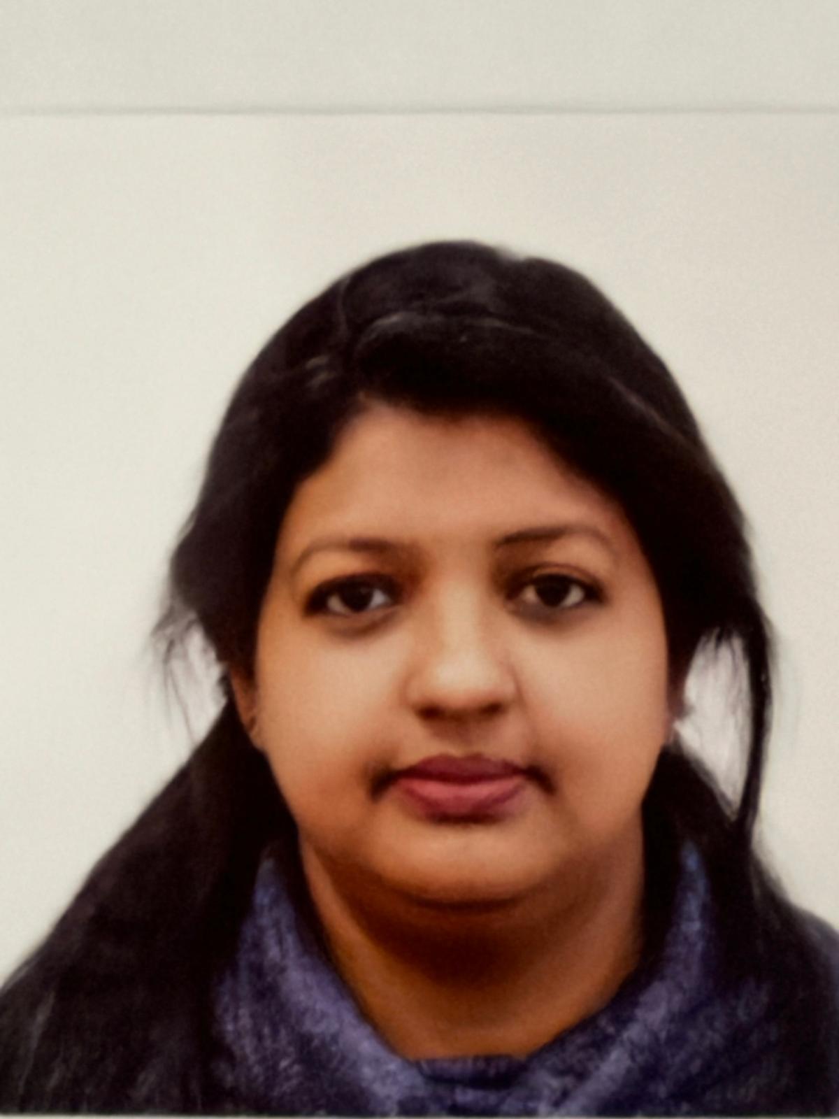 Chief Software Designer